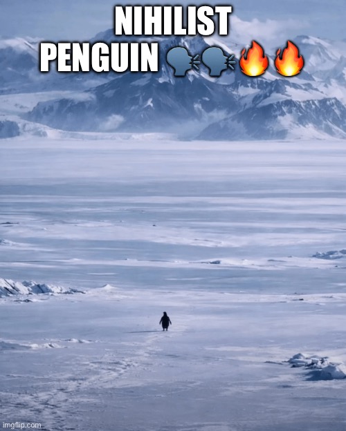 nihilist penguin | NIHILIST PENGUIN 🗣️🗣️🔥🔥 | image tagged in nihilist penguin | made w/ Imgflip meme maker