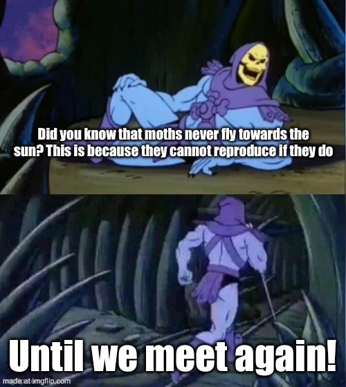 Skelator Facts | Did you know that moths never fly towards the sun? This is because they cannot reproduce if they do; Until we meet again! | image tagged in skelator facts | made w/ Imgflip meme maker