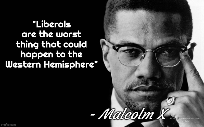 I don't think he knew how right he would be | "Liberals are the worst thing that could happen to the Western Hemisphere"; - Malcolm X | image tagged in malcolm x quote,liberals,destruction,threat to democracy | made w/ Imgflip meme maker