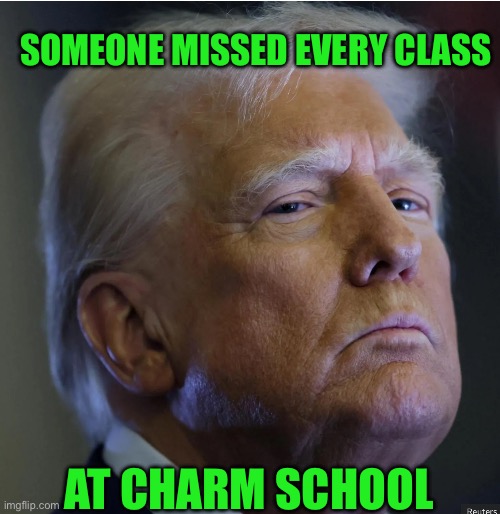 SOMEONE MISSED EVERY CLASS; AT CHARM SCHOOL | made w/ Imgflip meme maker