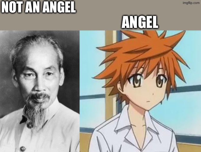 Rito Yuuki is an angel, not Ho Chi Minh | NOT AN ANGEL; ANGEL | image tagged in ho chi minh,rito to love ru,to love ru,anime | made w/ Imgflip meme maker