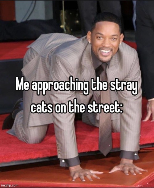 image tagged in memes,funny | made w/ Imgflip meme maker