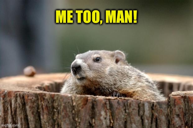 Groundhog | ME TOO, MAN! | image tagged in groundhog | made w/ Imgflip meme maker