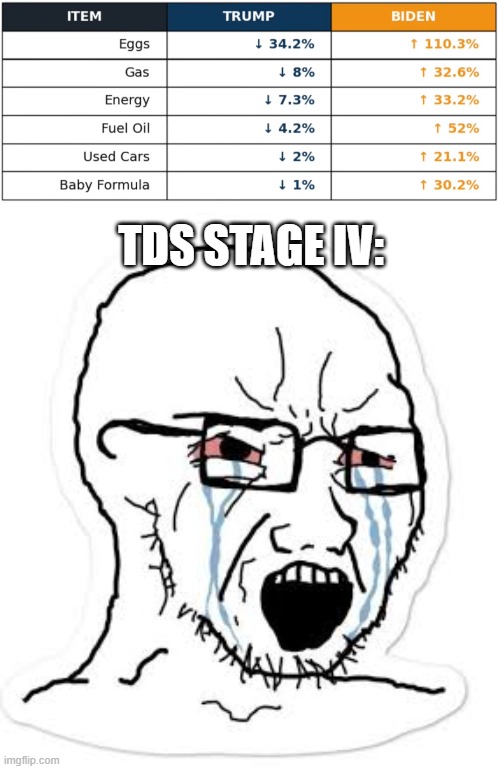 TDS | TDS STAGE IV: | image tagged in soy boy cry | made w/ Imgflip meme maker