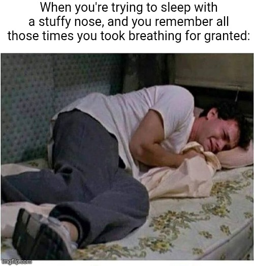 My life rn | When you're trying to sleep with a stuffy nose, and you remember all those times you took breathing for granted: | image tagged in crying to sleep,stuffy nose,nose,sleeping,breathing,relatable | made w/ Imgflip meme maker