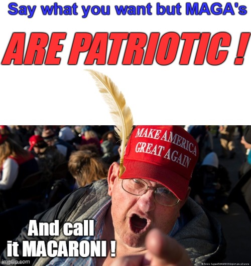 Yankee Trumpers | Say what you want but MAGA's; ARE PATRIOTIC ! | image tagged in yankee doodle maga meme | made w/ Imgflip meme maker