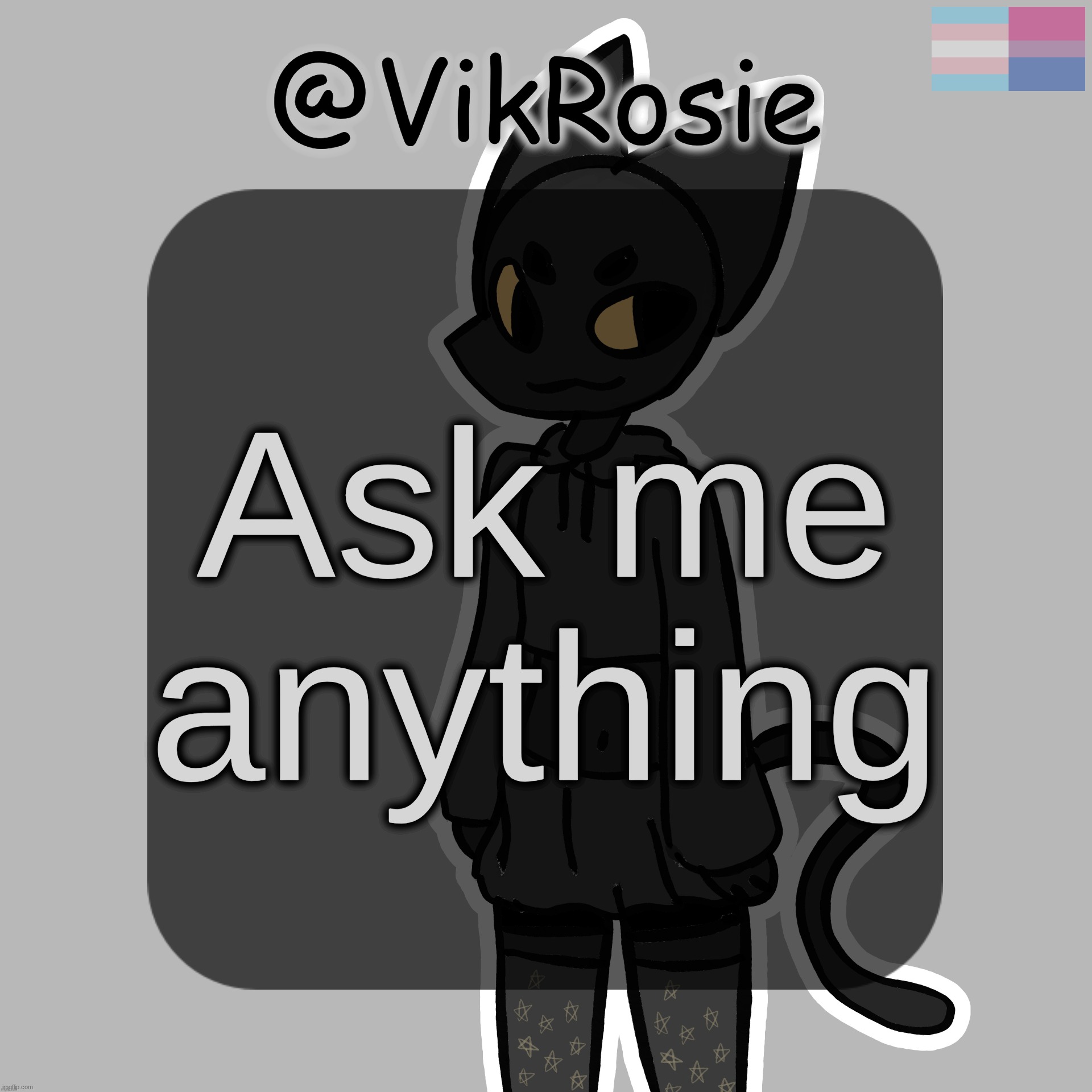 Rose's Stormy temp | Ask me anything | image tagged in rose's stormy temp | made w/ Imgflip meme maker
