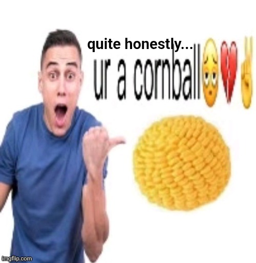 ur a cornball <\3 | quite honestly... | image tagged in ur a cornball 3 | made w/ Imgflip meme maker