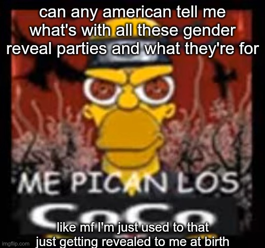 I genuinely don't understand | can any american tell me what's with all these gender reveal parties and what they're for; like mf I'm just used to that just getting revealed to me at birth | image tagged in me pican los coco | made w/ Imgflip meme maker