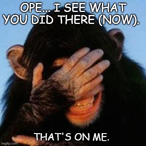 embarrassed | OPE... I SEE WHAT YOU DID THERE (NOW). THAT'S ON ME. | image tagged in embarrassed | made w/ Imgflip meme maker