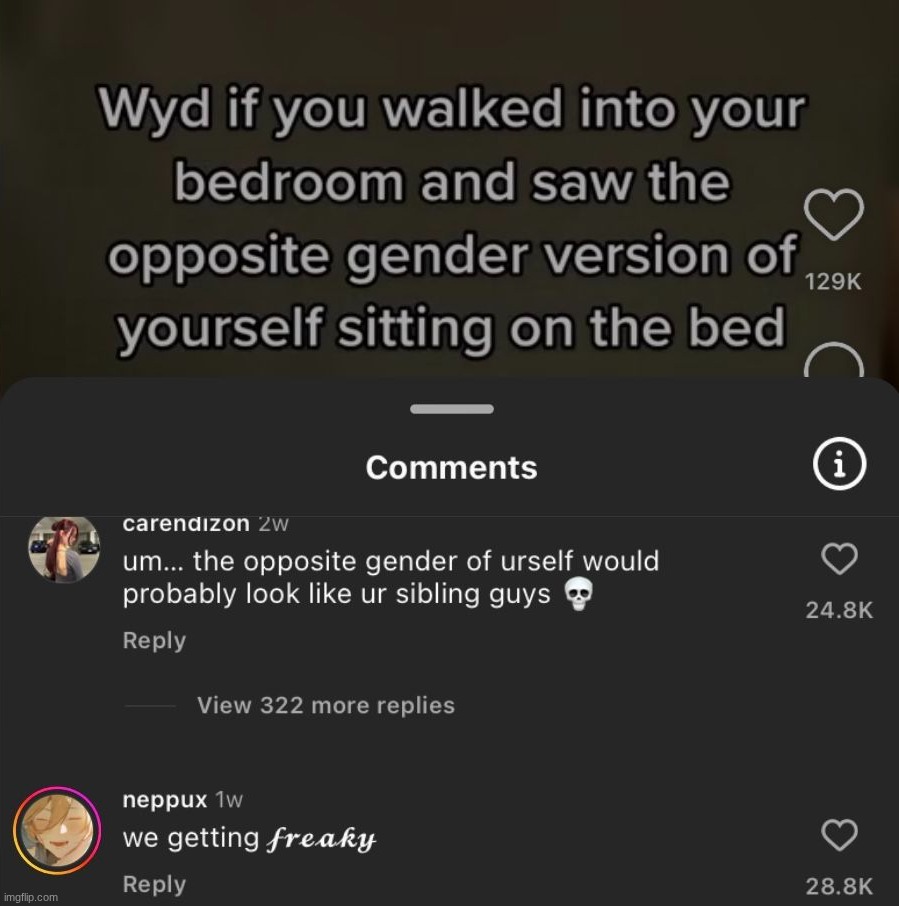 made w/ Imgflip meme maker