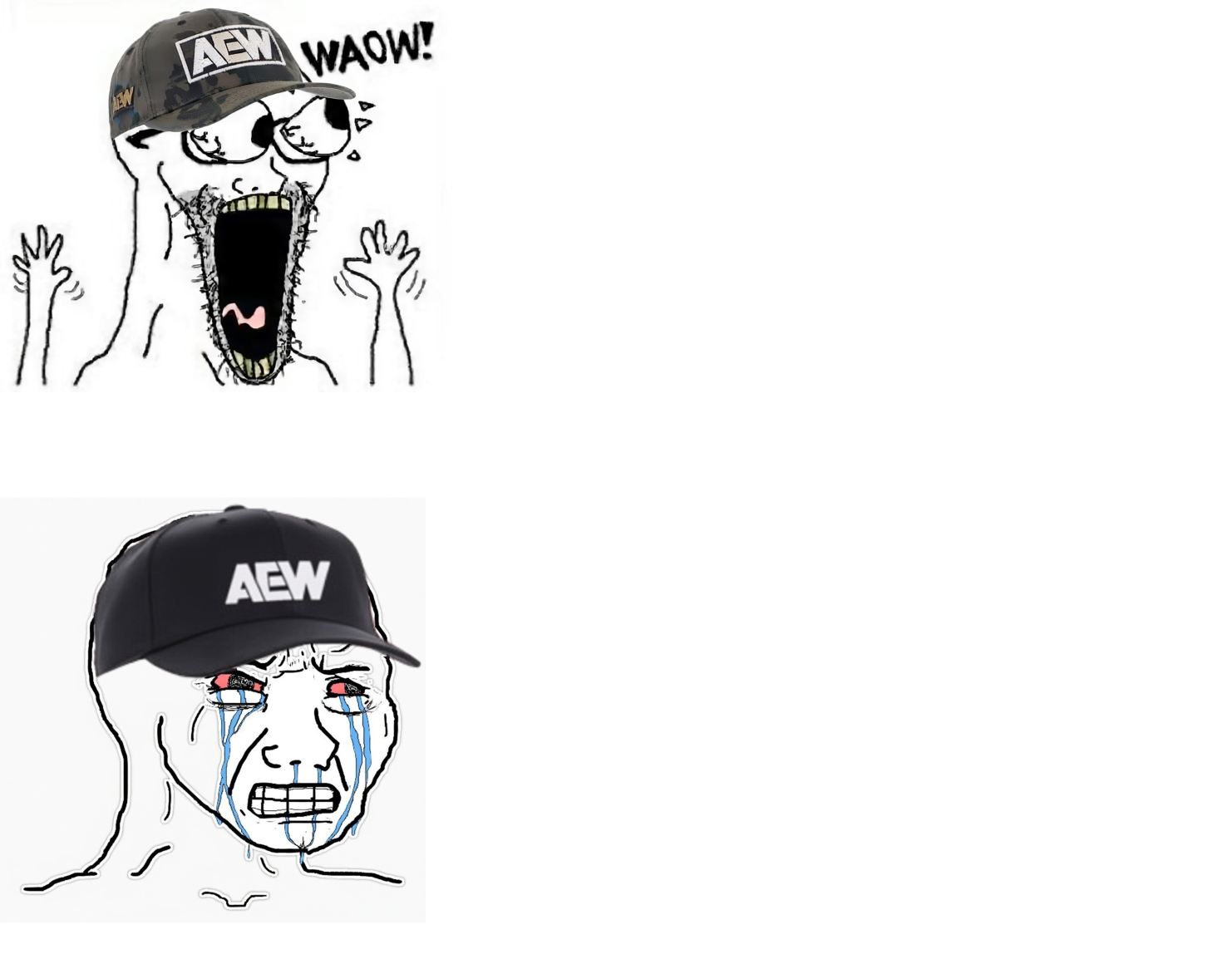 AEW waoW cry Blank Meme Template