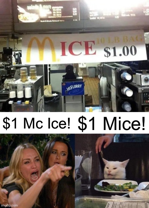 McDonald’s Mice | $1 Mc Ice! $1 Mice! | image tagged in memes,woman yelling at cat,mcdonalds | made w/ Imgflip meme maker