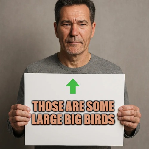its a sign | THOSE ARE SOME LARGE BIG BIRDS | image tagged in its a sign | made w/ Imgflip meme maker