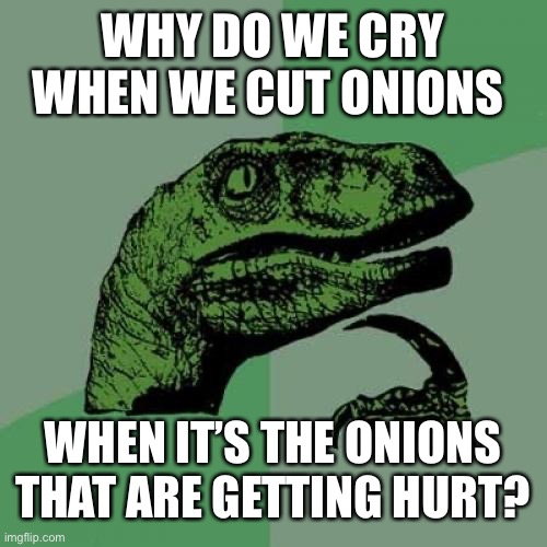 Shower Thoughts… | WHY DO WE CRY WHEN WE CUT ONIONS; WHEN IT’S THE ONIONS THAT ARE GETTING HURT? | image tagged in memes,philosoraptor | made w/ Imgflip meme maker