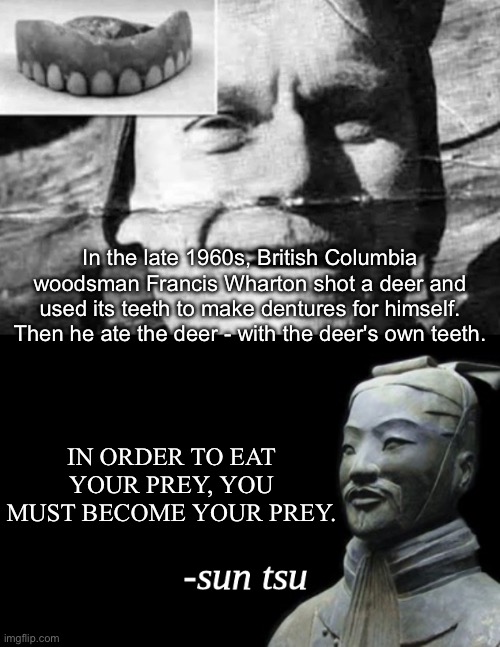 Become your prey | In the late 1960s, British Columbia woodsman Francis Wharton shot a deer and used its teeth to make dentures for himself. Then he ate the deer - with the deer's own teeth. IN ORDER TO EAT YOUR PREY, YOU MUST BECOME YOUR PREY. | image tagged in sun tsu fake quote,quote,deer,prey,teeth | made w/ Imgflip meme maker