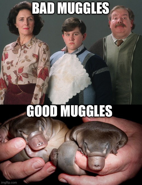 Baby Platypus are Called Muggles | BAD MUGGLES; GOOD MUGGLES | image tagged in dursley family muggles,baby,platypus,cute,good,bad | made w/ Imgflip meme maker