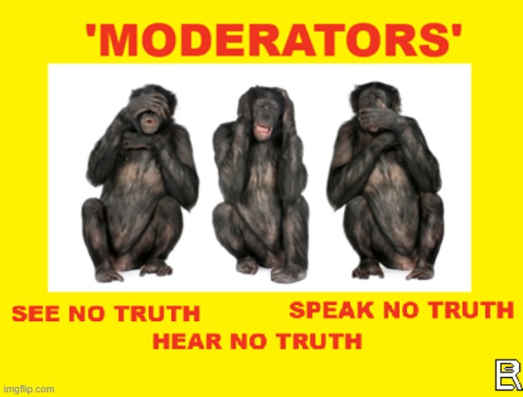 IDIOT MODS! Blank Meme Template