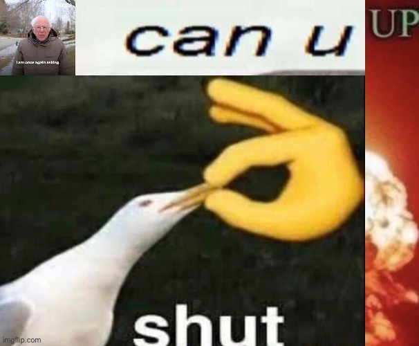 image tagged in memes,bernie i am once again asking for your support,can u dont,shut,beg for forgiveness | made w/ Imgflip meme maker