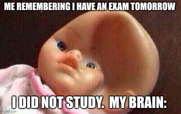 upvote this if you have done this before | ME REMEMBERING I HAVE AN EXAM TOMORROW; I DID NOT STUDY.  MY BRAIN: | image tagged in squashed doll head | made w/ Imgflip meme maker