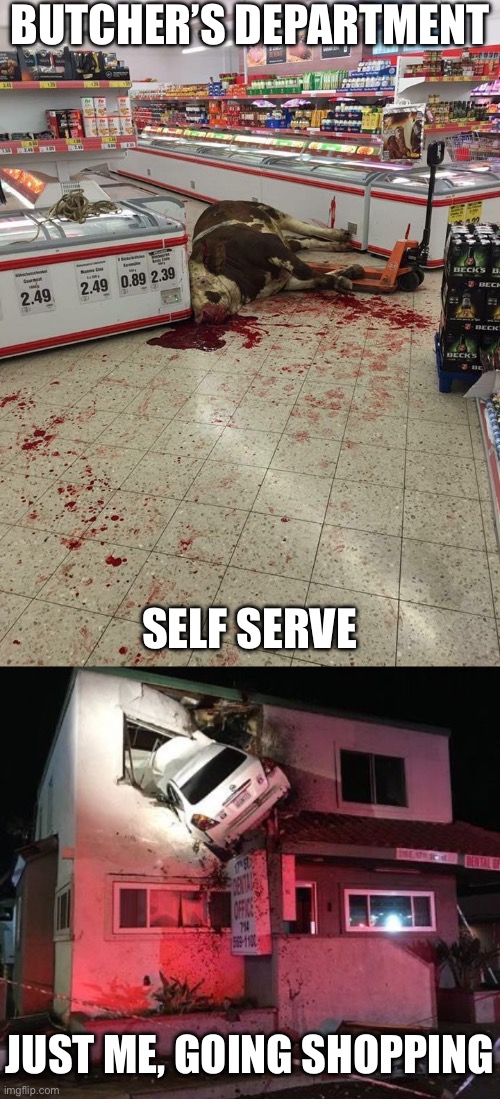 Self Service Butchery | BUTCHER’S DEPARTMENT; SELF SERVE; JUST ME, GOING SHOPPING | image tagged in self-serve beef aile,car into building,butcher,customer service | made w/ Imgflip meme maker