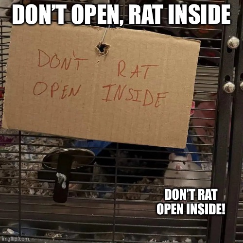 Don’t rat open inside | DON’T OPEN, RAT INSIDE; DON’T RAT OPEN INSIDE! | image tagged in memes,design fails,you had one job | made w/ Imgflip meme maker