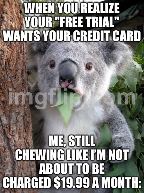 WHEN YOU REALIZE; THE “FREE TRIAL” NEEDS YOUR CREDIT CARD LIKE IT’S A HOSTAGE NEGOTIATION | WHEN YOU REALIZE YOUR "FREE TRIAL" WANTS YOUR CREDIT CARD; ME, STILL CHEWING LIKE I’M NOT ABOUT TO BE CHARGED $19.99 A MONTH: | image tagged in memes,surprised koala,your free trial of living has ended,subscribe,unsubscribe,credit card | made w/ Imgflip meme maker