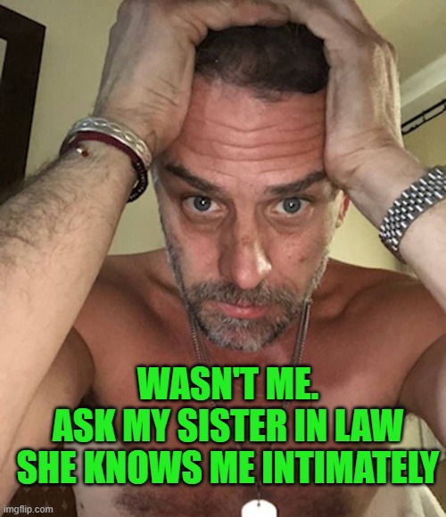 Sad Hunter Biden | WASN'T ME.
ASK MY SISTER IN LAW
SHE KNOWS ME INTIMATELY | image tagged in sad hunter biden | made w/ Imgflip meme maker