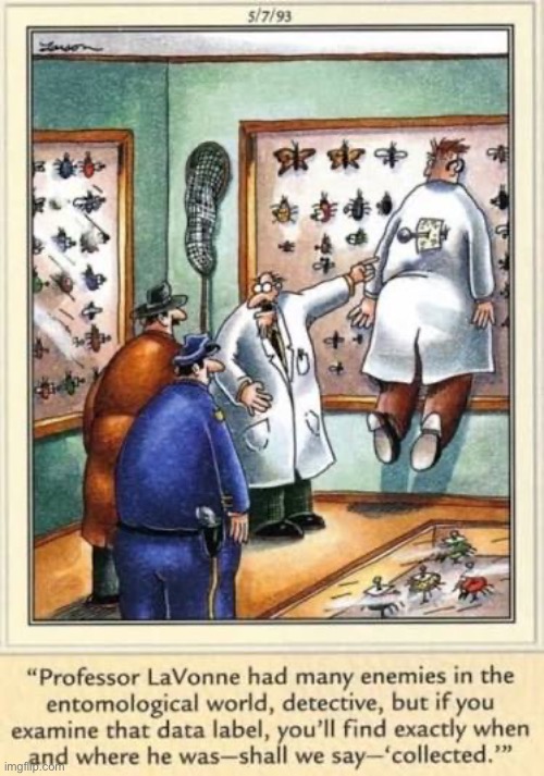 A bug’s revenge… | image tagged in the far side,comics,entomologist,death,crime scene,information | made w/ Imgflip meme maker