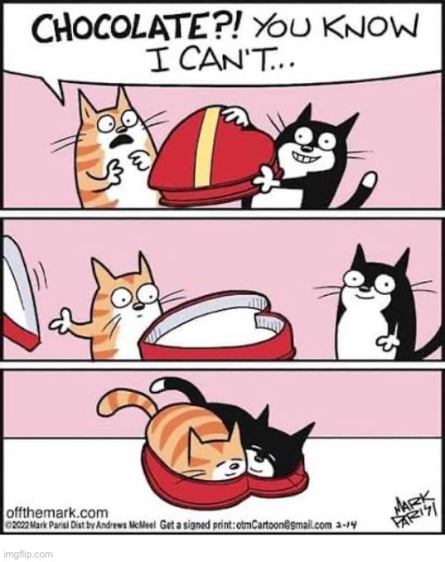 Off The Mark | image tagged in cats,comics,off the mark,candy,valentines day,empty box | made w/ Imgflip meme maker