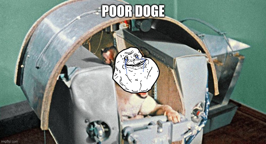 Poor doge | POOR DOGE | image tagged in laika | made w/ Imgflip meme maker