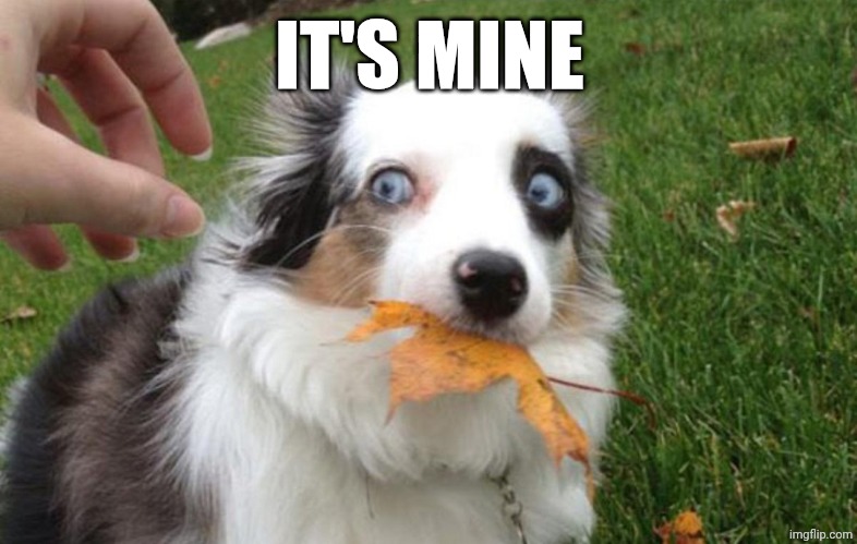 josh | IT'S MINE | image tagged in josh | made w/ Imgflip meme maker