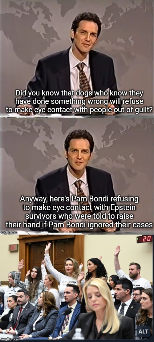 MAGA is more interested in protecting pedophiles than protecting children | Did you know that dogs who know they have done something wrong will refuse to make eye contact with people out of guilt? Anyway, here's Pam Bondi refusing to make eye contact with Epstein survivors who were told to raise their hand if Pam Bondi ignored their cases | image tagged in weekend update with norm,scumbag republicans,terrorists,trailer trash,conservative hypocrisy,pedophiles | made w/ Imgflip meme maker