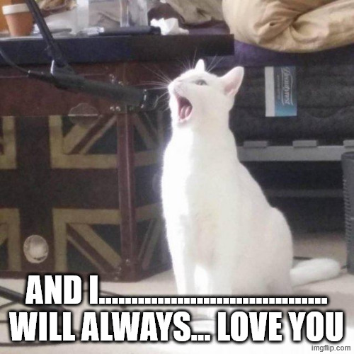 cat singing into a microphone | AND I...................................
WILL ALWAYS... LOVE YOU | image tagged in cat singing into a microphone | made w/ Imgflip meme maker