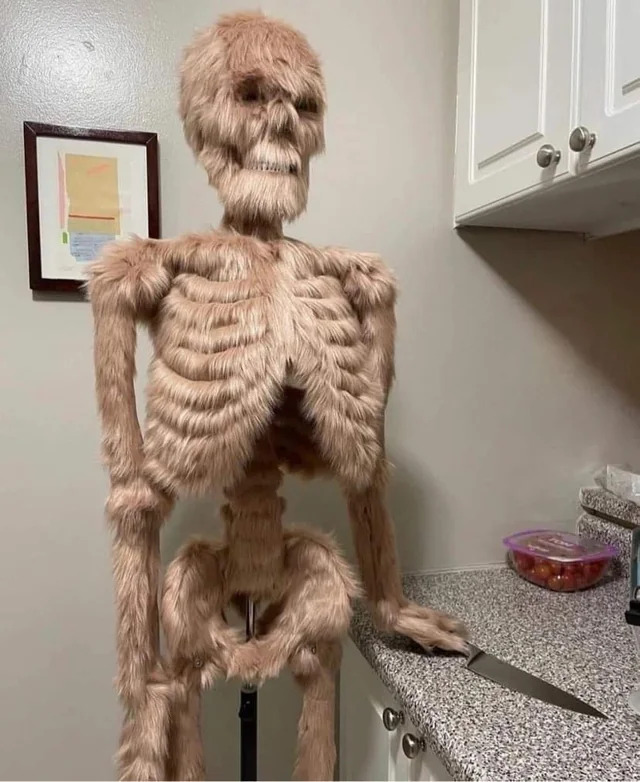 Furry Skeleton Blank Meme Template