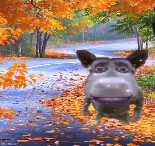 image tagged in pingas,deez nuts | made w/ Imgflip meme maker