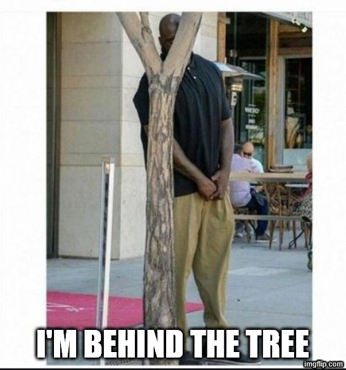 shaq behind tree | I'M BEHIND THE TREE | image tagged in shaq behind tree | made w/ Imgflip meme maker
