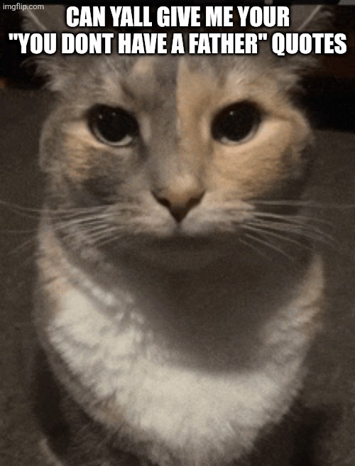 cat dead stare | CAN YALL GIVE ME YOUR "YOU DONT HAVE A FATHER" QUOTES | image tagged in cat dead stare | made w/ Imgflip meme maker