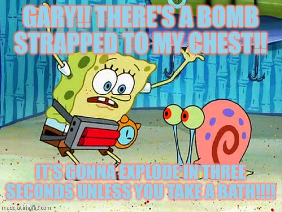 please? | GARY!! THERE'S A BOMB STRAPPED TO MY CHEST!! IT'S GONNA EXPLODE IN THREE SECONDS UNLESS YOU TAKE A BATH!!!! | image tagged in spongebob bomb | made w/ Imgflip meme maker