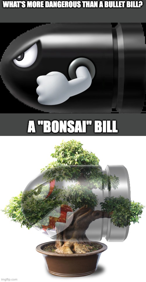 Dad Joke | WHAT'S MORE DANGEROUS THAN A BULLET BILL? A "BONSAI" BILL | image tagged in bullet bill,bonsai,super mario,plants,dad joke,memes | made w/ Imgflip meme maker