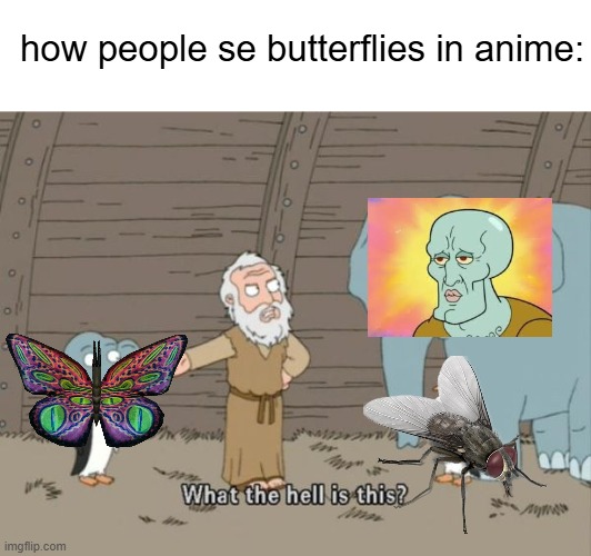 i got no idea for title | how people se butterflies in anime: | image tagged in what the hell is this,butterfly | made w/ Imgflip meme maker