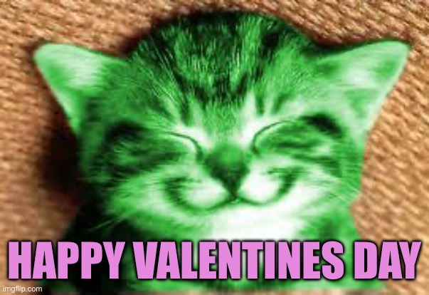 happy RayCat | HAPPY VALENTINES DAY | image tagged in happy raycat | made w/ Imgflip meme maker