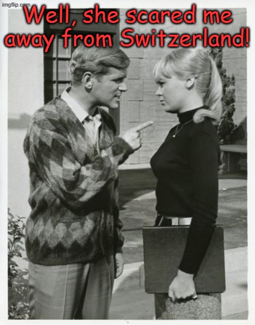 pointing | Well, she scared me away from Switzerland! | image tagged in pointing | made w/ Imgflip meme maker