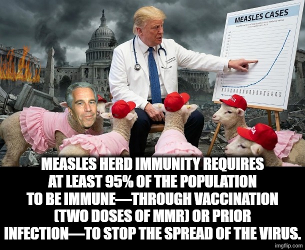 HERD IMMUNITY | MEASLES HERD IMMUNITY REQUIRES AT LEAST 95% OF THE POPULATION TO BE IMMUNE—THROUGH VACCINATION (TWO DOSES OF MMR) OR PRIOR INFECTION—TO STOP THE SPREAD OF THE VIRUS. | image tagged in measles,vaccine,vaccines,vaccination,virus,make america great again | made w/ Imgflip meme maker