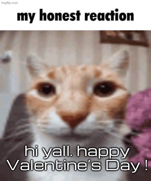 My honest reaction | hi yall. happy Valentine’s Day ! | image tagged in my honest reaction | made w/ Imgflip meme maker