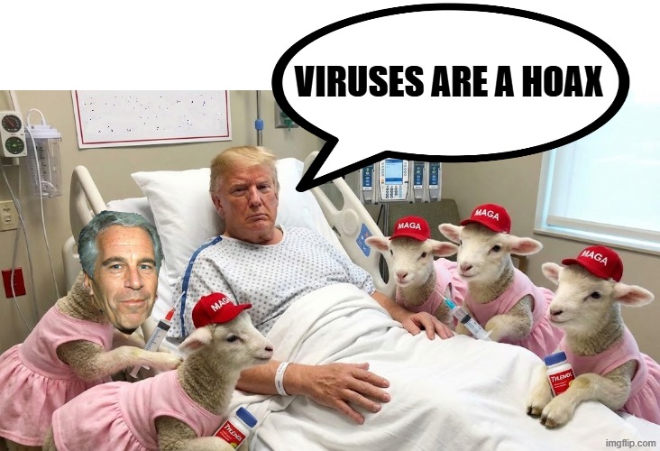 VIRUSES ARE A HOAX | VIRUSES ARE A HOAX | image tagged in virus,hoax,trump,maga,jeffrey epstein,vaccine | made w/ Imgflip meme maker