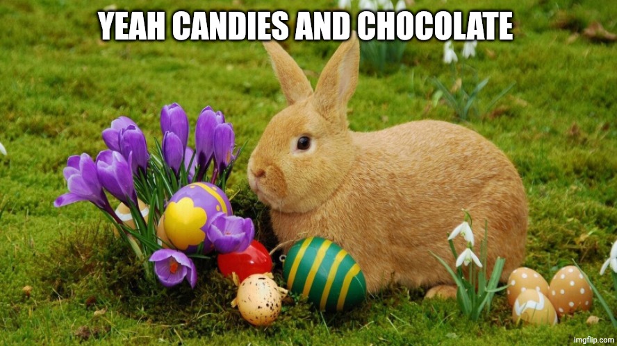 easter bunny | YEAH CANDIES AND CHOCOLATE | image tagged in easter bunny | made w/ Imgflip meme maker