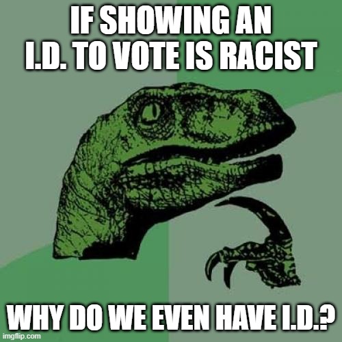 Philosoraptor Meme | IF SHOWING AN I.D. TO VOTE IS RACIST; WHY DO WE EVEN HAVE I.D.? | image tagged in memes,philosoraptor | made w/ Imgflip meme maker