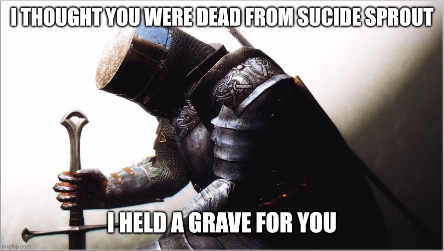 crusader kneeling | I THOUGHT YOU WERE DEAD FROM SUCIDE SPROUT I HELD A GRAVE FOR YOU | image tagged in crusader kneeling | made w/ Imgflip meme maker