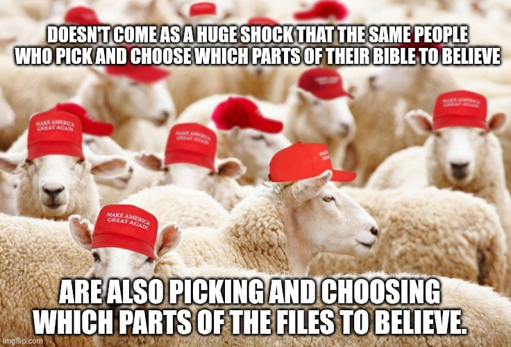 What about Clinton? | DOESN'T COME AS A HUGE SHOCK THAT THE SAME PEOPLE WHO PICK AND CHOOSE WHICH PARTS OF THEIR BIBLE TO BELIEVE; ARE ALSO PICKING AND CHOOSING WHICH PARTS OF THE FILES TO BELIEVE. | image tagged in trump maga sheep,donald trump,maga,jeffrey epstein,epstein files | made w/ Imgflip meme maker